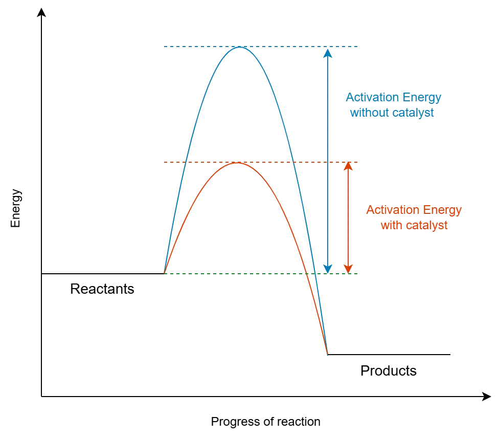 Energy profile diagram